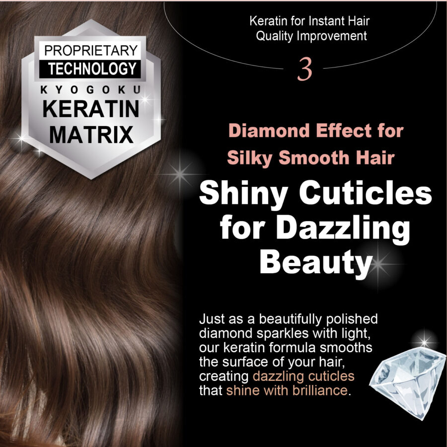 Kyogoku Keratin Treatment - Image 11