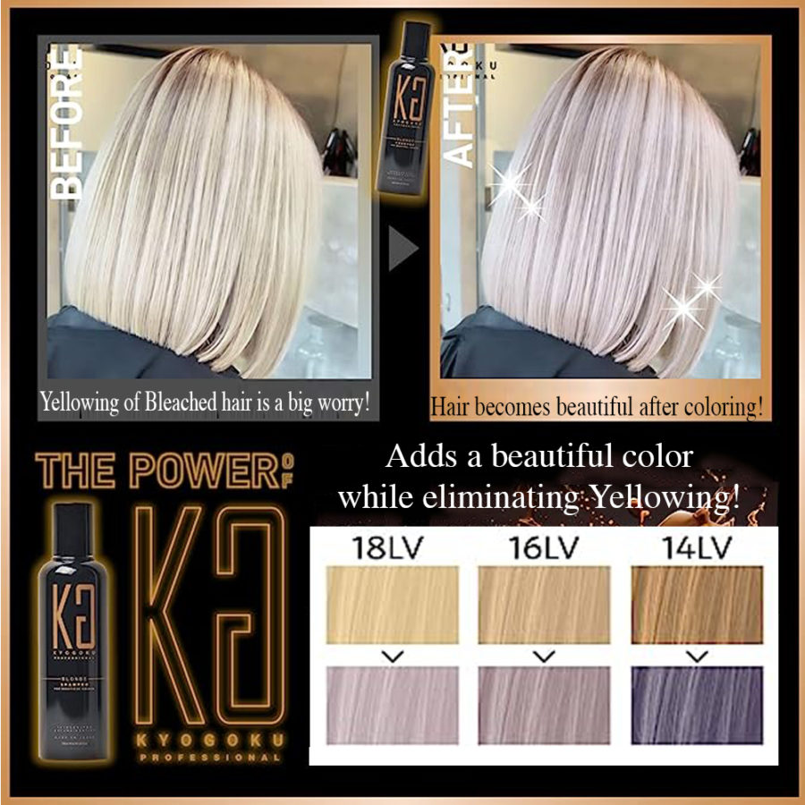 Kyogoku Blonde Color Shampoo BL - Image 12